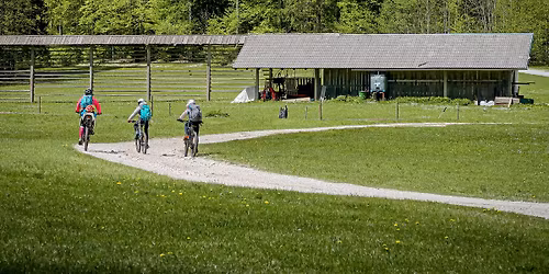 Cycling and mountain bike tours in Slovenia \u2013 join group