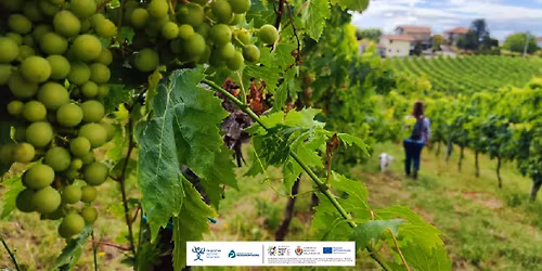 Escursione a Montalto con degustazione finale