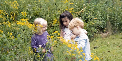 Pop Up in the Park: The Power of Nature