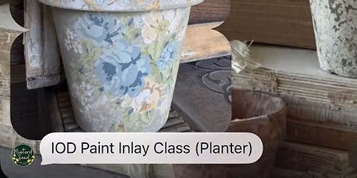 12" Painted Planter w\/ IOD Paint Inlays