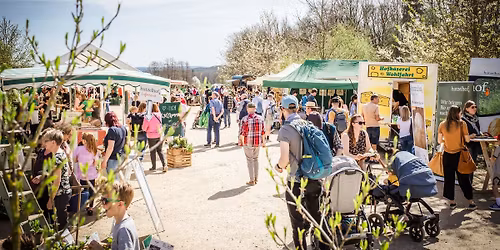 Fr\u00fchlingsmarkt am Hutzelhof mit Jungpflanzenverkauf \ud83c\udf3c\ud83c\udf37