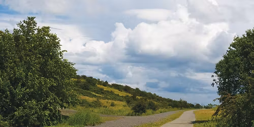 Weetslade guided walk