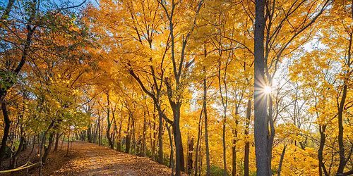 SJTA Trailhead Social + Group Ride @ River Bluff Trails Park