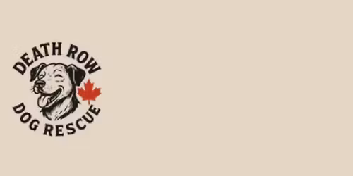 Brews & Rescues - Pawliday Adoption Event