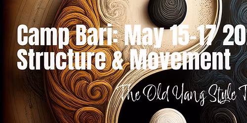 Bari, Italia 2026 Old Yang Taijiquan - Structure and MovementChapter 4