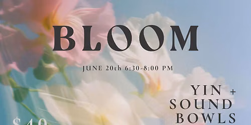 Bloom - YIN + Sound