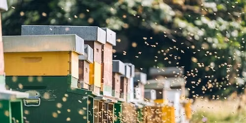 Athens Christmas Parade