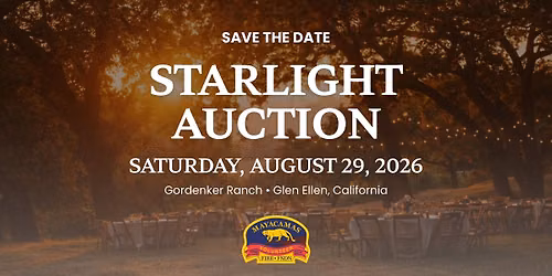 MVFF Starlight Dinner & Auction 2026