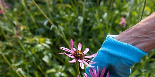 Early Season Garden Care