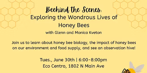 Beehind the Scenes: Exploring the Wondrous Lives of Honeybees