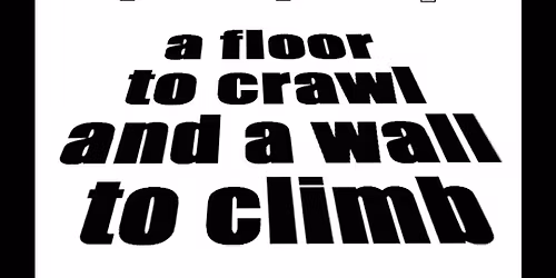 Bart Koldewee - a floor to crawl and a wall to climb