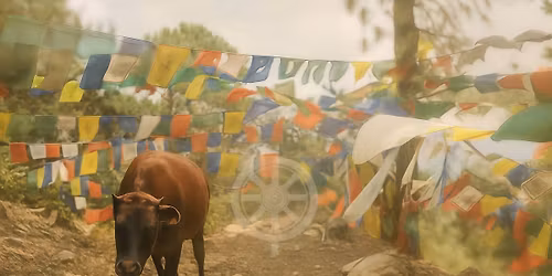 Dharma Teaching: Love, Compassion, & Ethic's for today's world