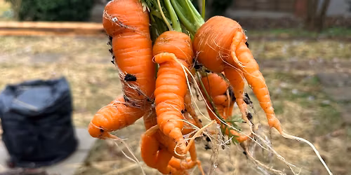 Cool Season Vegetables