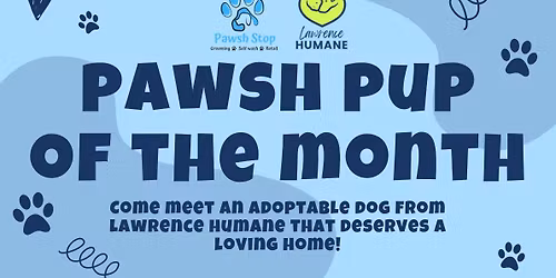 Pawsh Pup of the Month