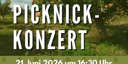 5. Picknick-Konzert und Instrumentensafari