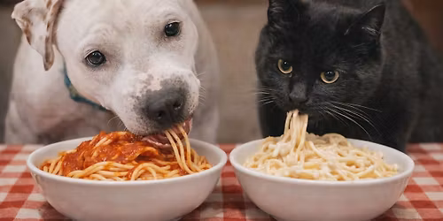 Build Your Own Pasta Bar