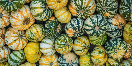 Fall Festival at Griffin