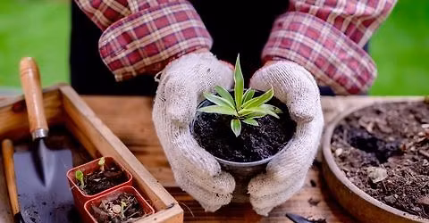 Shadoxhurst Gardening Club