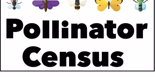 Great Southeast Pollinator Census
