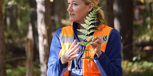 Naturalist Adventure Series: Ferns of Southern Maine: Winter Exploration