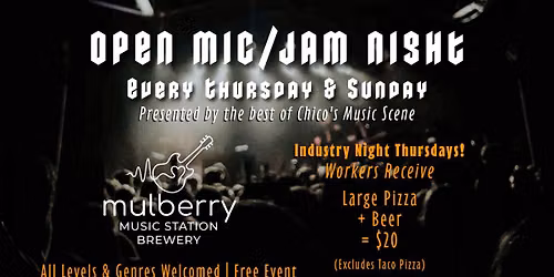The Performance Jam: Open Mic & Musician Showcase at Mulberry