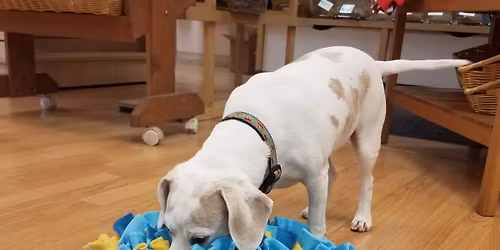 Snuffle Mat Workshop