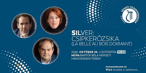SILVER: CSIPKER\u00d3ZSIKA (LA BELLE AU BOIS DORMANT)