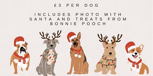 Santa Paws\ud83d\udc3e