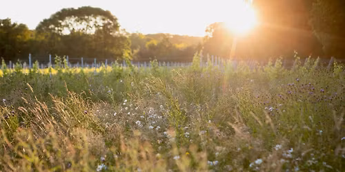 Blue Line Chiltern Wine Tour - 27th June 2026 - (2 vineyards)