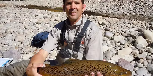 Stonefy November Get Together