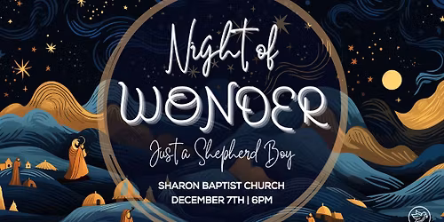 Night of Wonder - Just a Shepherd Boy
