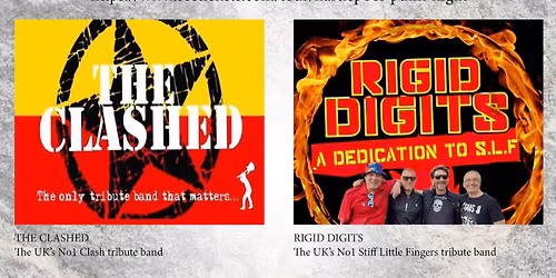 Hartlepool Punk Night in memory of the legend Mick Hanley 