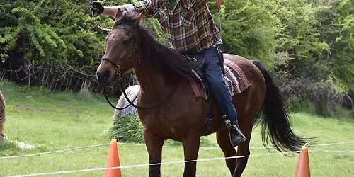 Ground and mounted archery rally