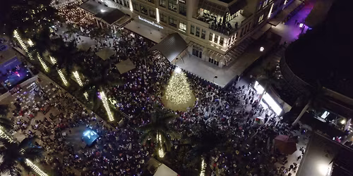 Christmas Tree Lighting & Cirque Experience