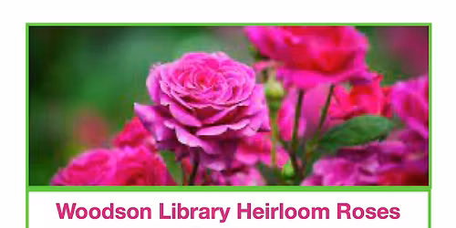 Heirloom Roses Talk &Tour