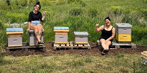 Beekeeping 101