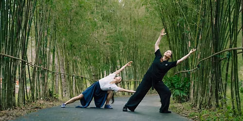 Awaken Your Inner Strength: White Tiger Qigong for Balance, Resilience, and Grounding