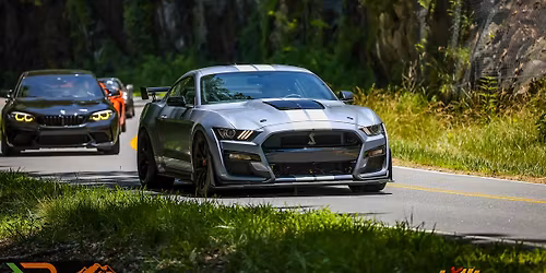 Dragon Rally\u00ae LIV (54) 