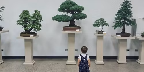 AABS Annual Bonsai Show
