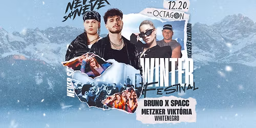 WINTER FESTIVAL \u2718 Never Say Never | 12.20. | CLUB OCTAGON