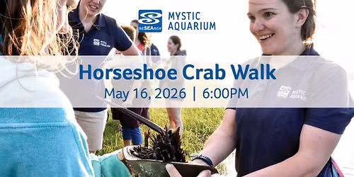 Horseshoe Crab Walk