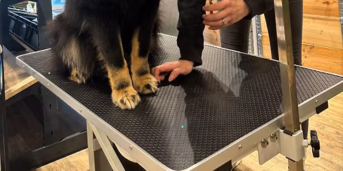 Gratis kloklipp, potefinbehandling!