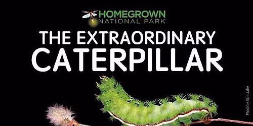 Movie Screening: The Extraordinary Caterpillar hosted by INPS