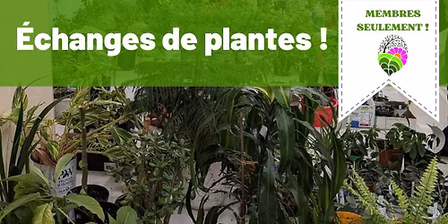 \u00c9change de v\u00e9g\u00e9taux anim\u00e9 par Clarisse Courchesne