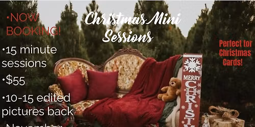 Christmas Minis \ud83c\udf84