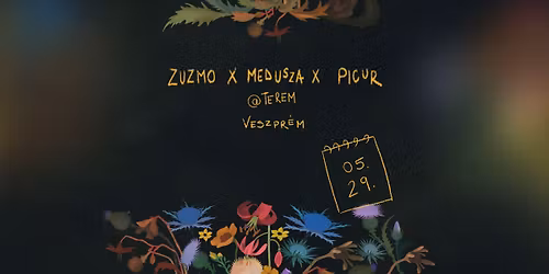 ZUZMO x MEDUSZA x PICUR @TEREM