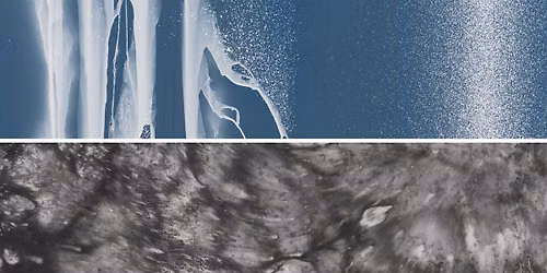 Curator Tour | Into the Waters