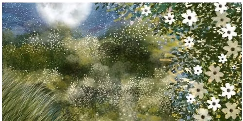 Herbs for Aches and Pains