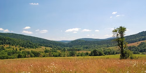 Beskid Niski: Ambrowska - poza szlakiem!
