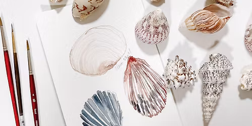 Summer Shells in Watercolor